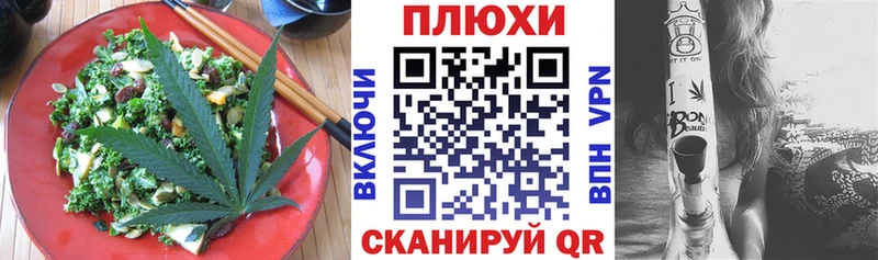 как найти наркотики  МЕГА как зайти  Canna-Cookies конопля  Зверево 