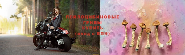 герыч Сафоново