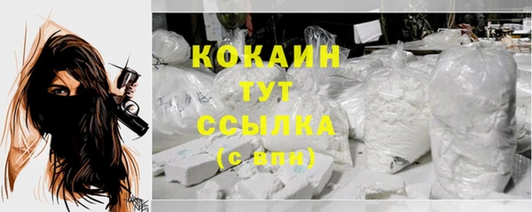 индика Ростов