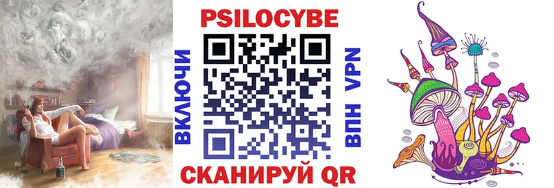 Псилоцибиновые грибы Psilocybe  Зверево 